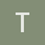 tiger_beetle